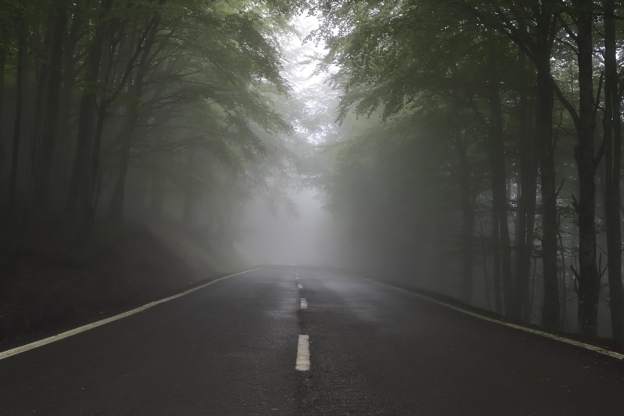 future, fear, uncertainty, path, nature, highway, road, way, forest, trees, light, angst, zukunft, unsicherheit, wald, weg, straße, neblig, fog